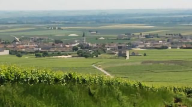 Vue de Bouzy