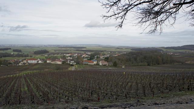 Vue de Sermiers_vers_Reims .