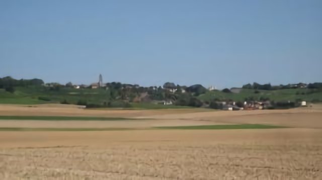 Campagne Champenoise - vue de Allemant