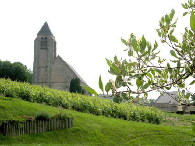 Vignoble champenois et eglise de Bethon (51)sur la D48.