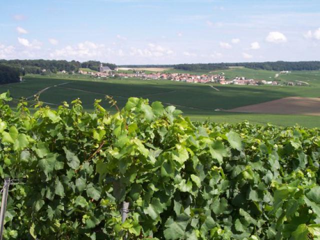 Village Champenois