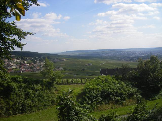 Landscape at the southern edge of Montagne-de-Reims, between Épernay and Saint-Imoges. The picture has been taken close to the D951 road…