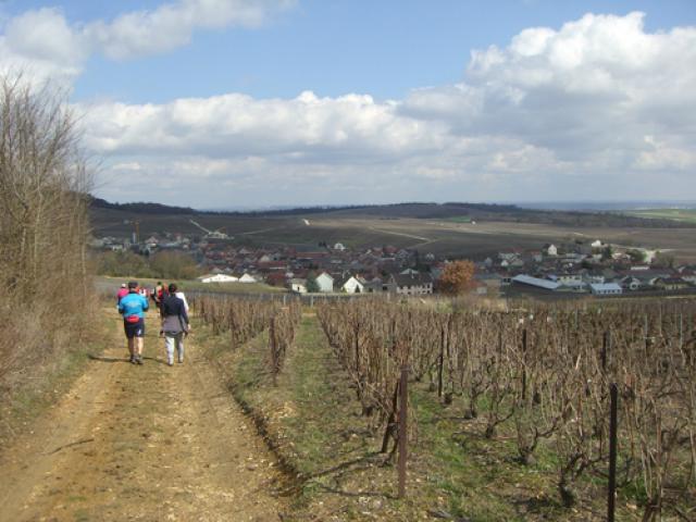 Blick auf Trepail