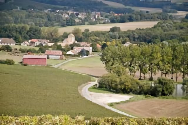 vue de Poilly depuis les vignes