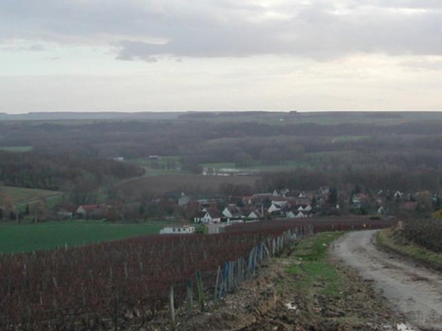 Vue de Savigny sur Ardres en Novembre