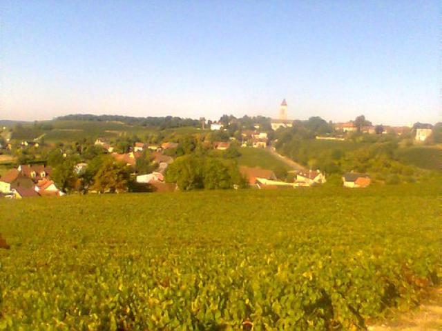 Vue d'Allemant