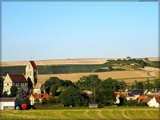 France-Marne-Courville-vue depuis la route de Courville-vers Mont sur Courville-04-09-2013