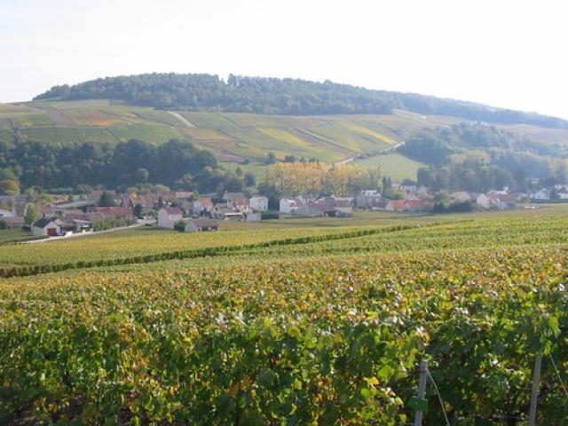 Village de MANCY