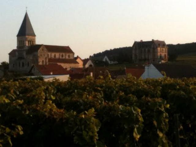 Fortified church from the vineyards.