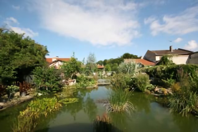Bassuet, onze tuin augustus