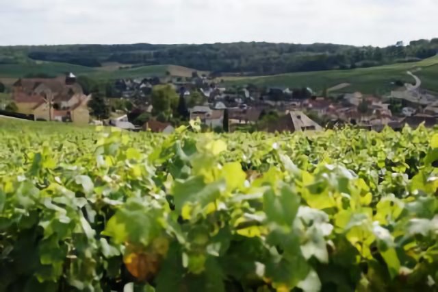 Grauves (Marne, France)
