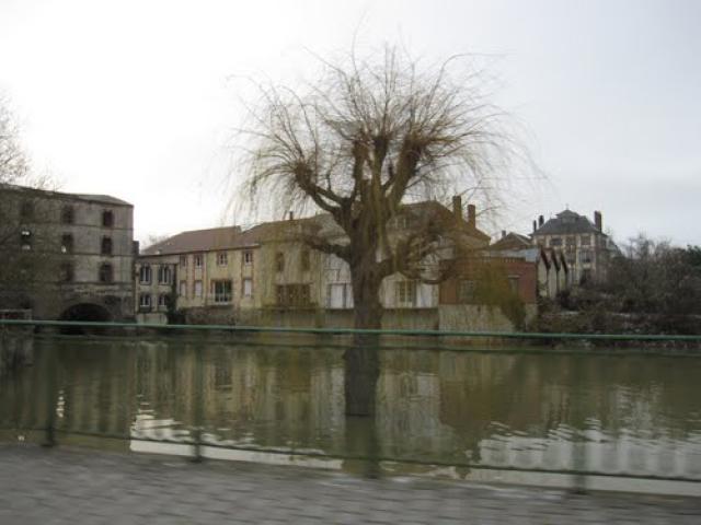 Aube en crue à Anglure, Marne, France