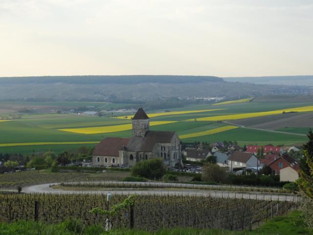 Vue du village de Cuis depuis la montagne d'Avize.