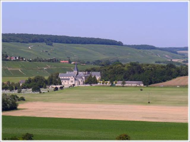 Vue sur le Prieuré de Binson