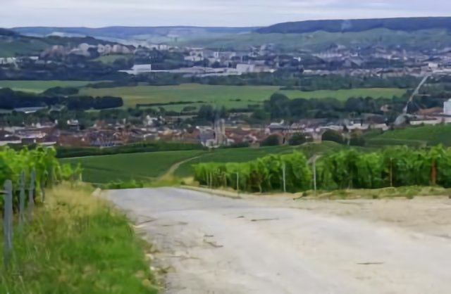 La Montagne de Reims, juni 2011