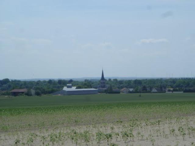 Juvigny 51150 Marne (24/06/2010)