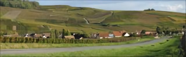 Vignoble d'Automne sur Dizy