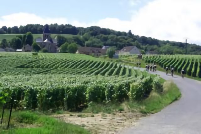 Route du Champagne, juni 2011