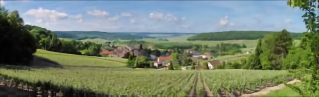 Panorama Cormoyeux