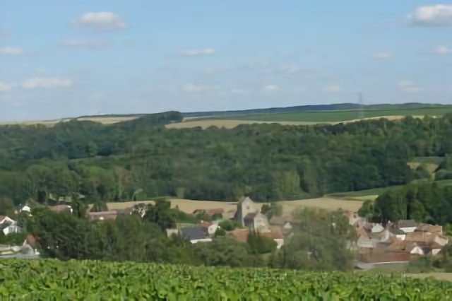 Treslon vue des vignes
