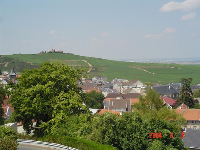 Vignoble champenois