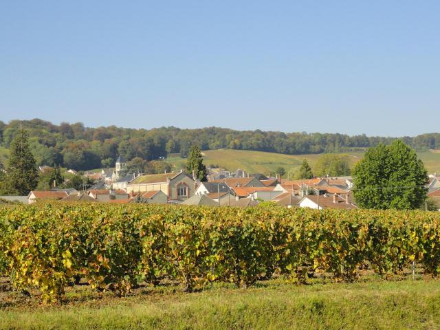 Vue du centre ancien d'Avize depuis un chemin de vigne entre Oger et Avize