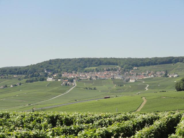 Vue d'ensemble du village d'Hautvillers, sur la Montagne de Reims, depuis le point de vue aménagé entre Champillon et Dizy (Marne).