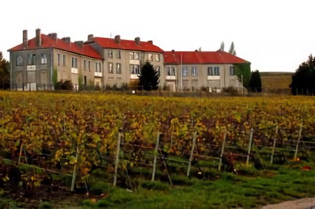 Les immeubles