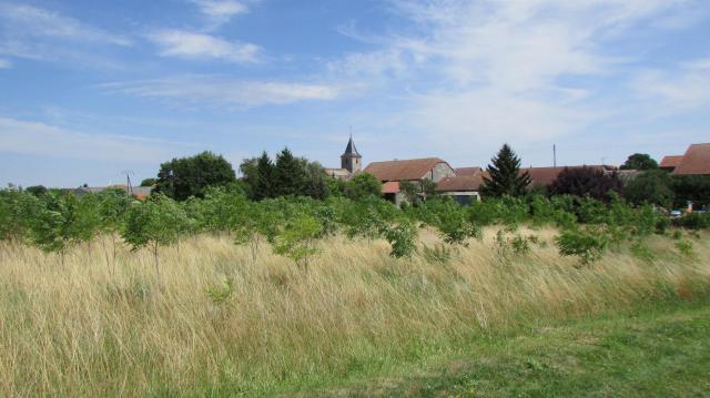 Vue générale.