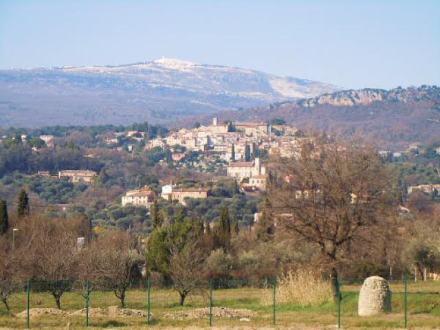 Opio