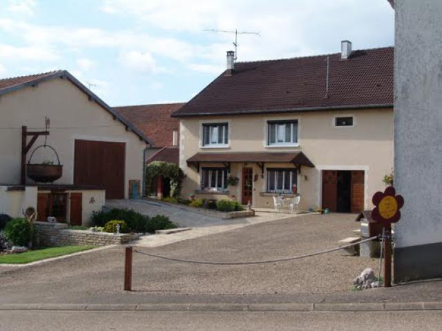 fleurs sechées