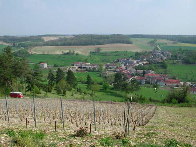 Vu du Vignoble