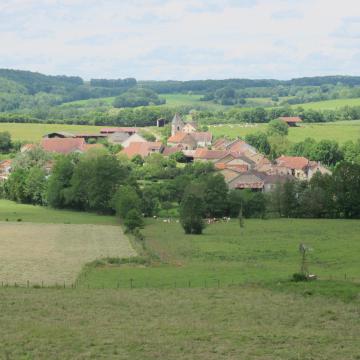 Grandchamp (52600), Haute-Marne - Vue générale à partir de la route des Tilleuls (D17)