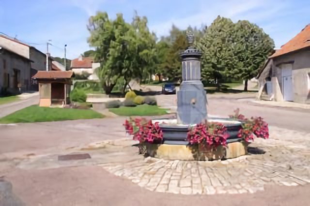 Nijon