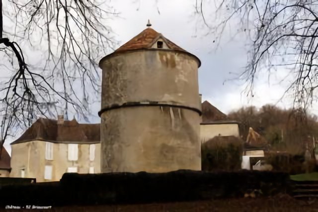 52 Briaucourt - Pigeonnier château