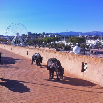 Antibes Les remparts (loups)