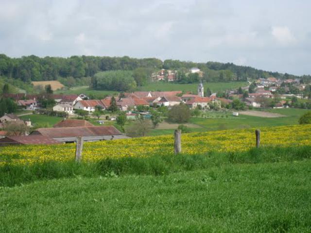 Vue sur Euffigneix