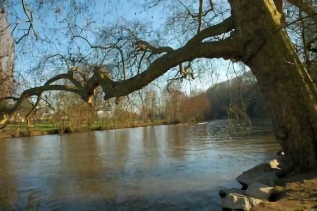 La Mayenne à Changé