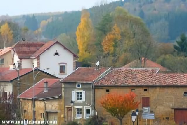 Couleurs d'automne