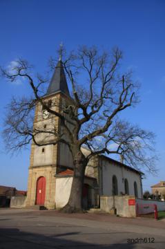 Eglise Paroissiale de la-Nativité-de la-Vierge à Abbéville-lès-Conflans (54)