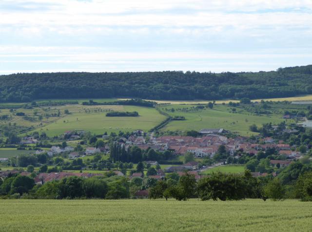 Faulx en Meurthe-et-Moselle (France), vue des hauteurs au sud.
