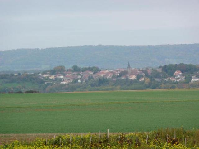 Frolois vu de la route Autrey > Houdelmont