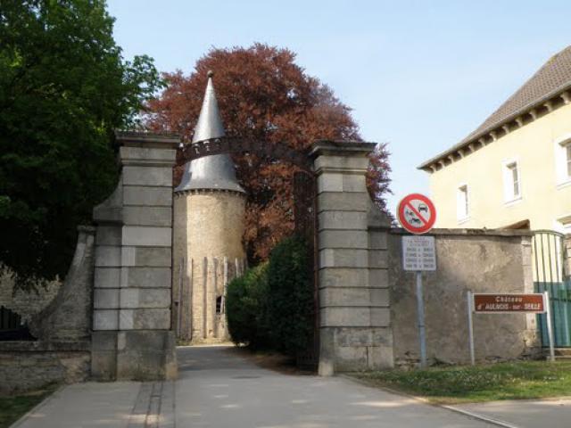 Aulnois sur seille Le château
