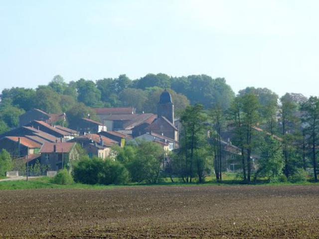 Reherrey