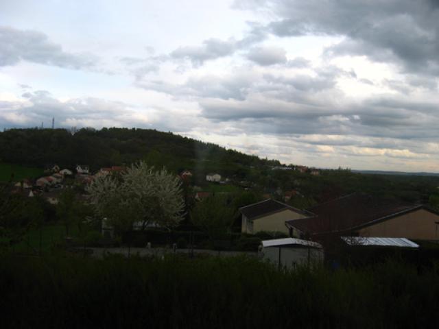 Out the window