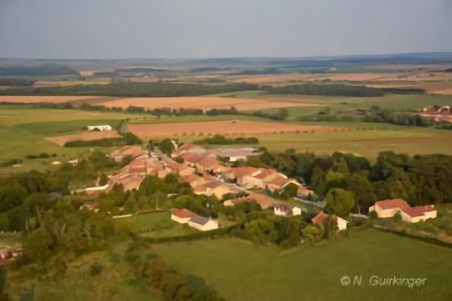 Brainville