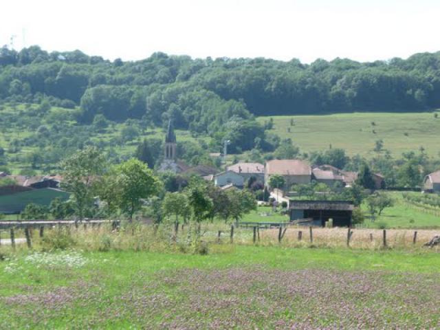 Grimonviller