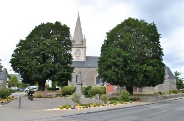 Ifs remarquables à Saint-Avé
