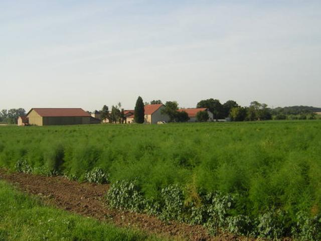 Grange le Mercier
