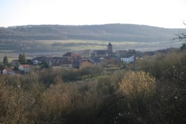 Vue depuis les vignes